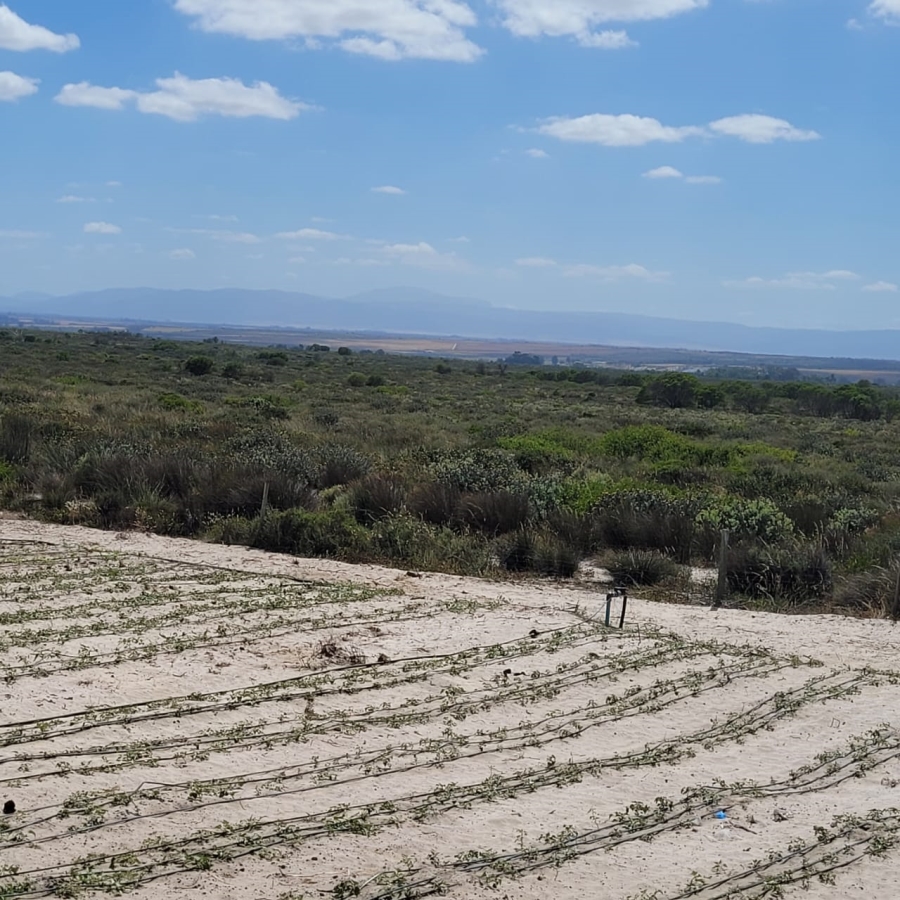 To Let 3 Bedroom Property for Rent in Hartebeesfontein Western Cape